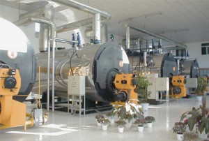 WNS Three Pass Wet Back Oil/Gas Fired Steam Boilers